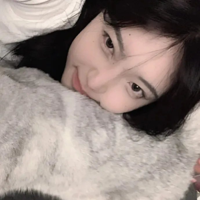 狗狗监护权