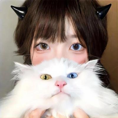 混合宿舍3：破坏性爱规则